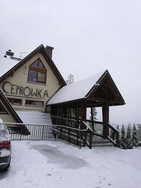 Apartament Z Kogutem Zakopane Exteriör bild