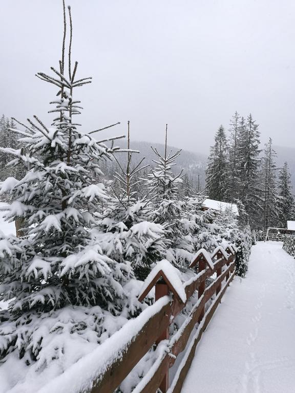 Apartament Z Kogutem Zakopane Exteriör bild
